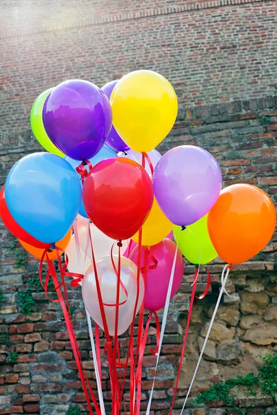 Gebundene Luftballons Verschiedenen Farben — Stockfoto