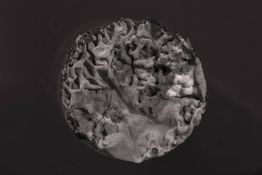 Kalıpla kaplanmış eski pasta, yüzeysel alan derinliğine dikkat edin.