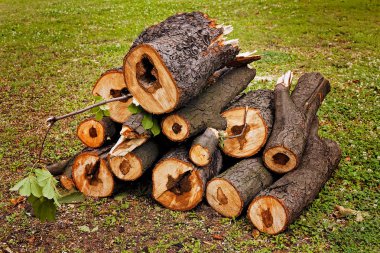 Yığının içindeki ahşap kütükler, derin alan derinliğine dikkat edin.