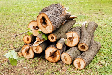 Yığının içindeki ahşap kütükler, derin alan derinliğine dikkat edin.