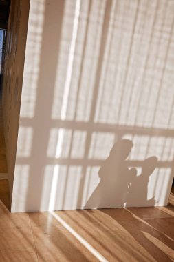 Güneşlikler ve perdeler mehanism, not alan sığ derinliği ile windows için