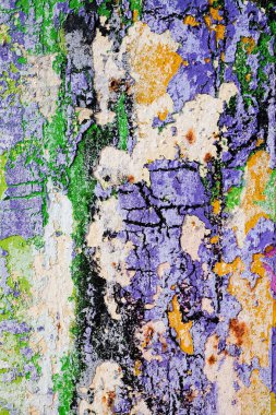 Ruined old wall in various paint residues