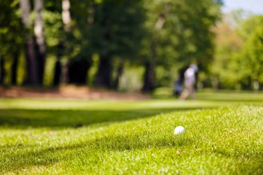 Ağaçları saran, Not alan sığ derinliği ile Golf Sahası