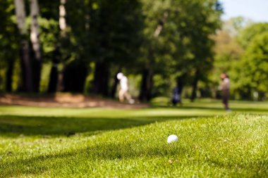 Ağaçları saran, Not alan sığ derinliği ile Golf Sahası