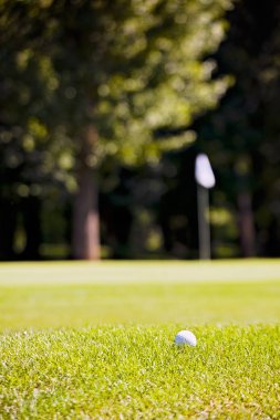 Ağaçları saran, Not alan sığ derinliği ile Golf Sahası