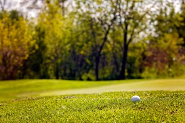 Ağaçları saran, Not alan sığ derinliği ile Golf Sahası