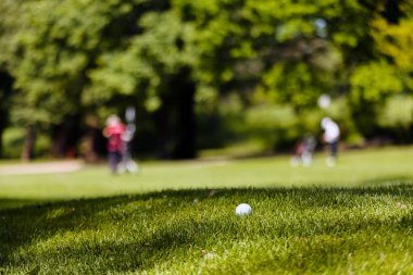 Ağaçları saran, Not alan sığ derinliği ile Golf Sahası