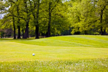 Ağaçları saran, Not alan sığ derinliği ile Golf Sahası