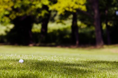 Ağaçları saran, Not alan sığ derinliği ile Golf Sahası
