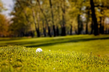 Ağaçları saran, Not alan sığ derinliği ile Golf Sahası