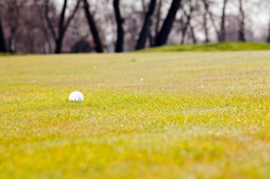 Ağaçları saran, Not alan sığ derinliği ile Golf Sahası