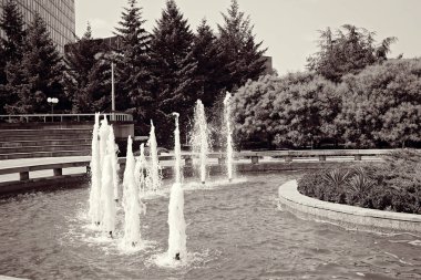 Çeşmeli parkın peyzajı