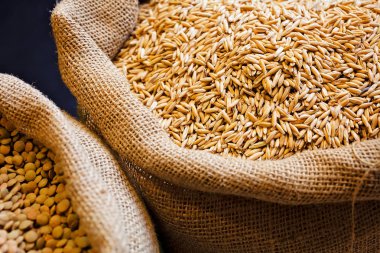 Grains of wheat in bag of jute