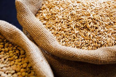 Grains of wheat in bag of jute