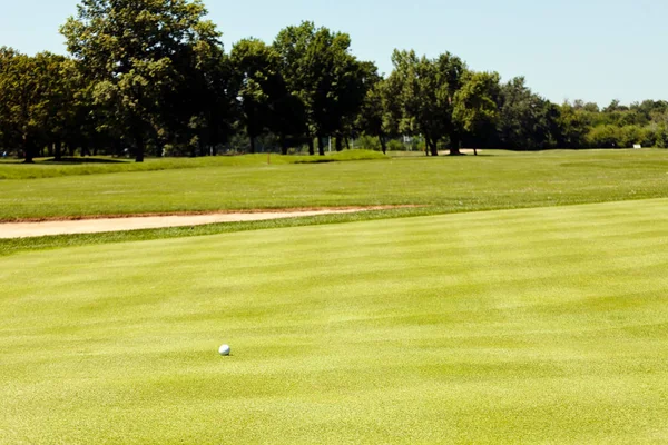 Golfplatz Mit Umliegenden Bäumen Geringe Schärfentiefe Beachten — Stockfoto