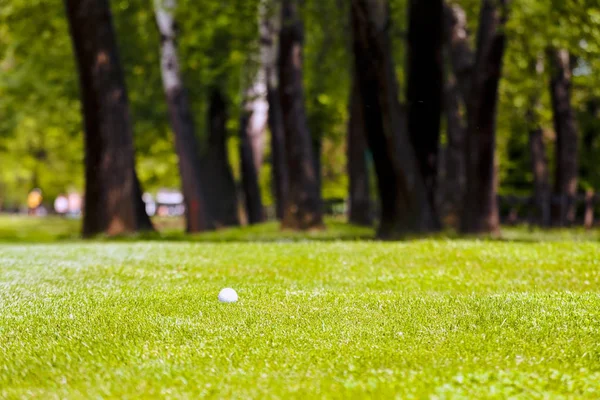 Pole Golfowe Drzew Wokół Uwaga Płytkiej Głębi Ostrości — Zdjęcie stockowe