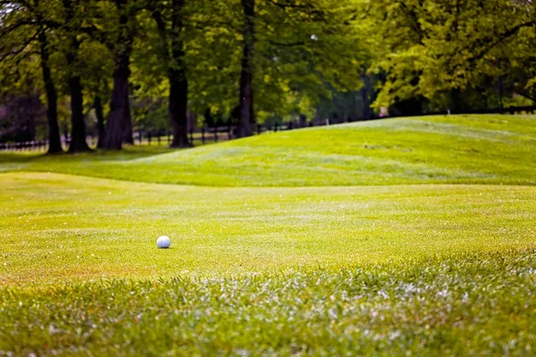 Ağaçları Saran Alan Sığ Derinliği Ile Golf Sahası — Stok fotoğraf