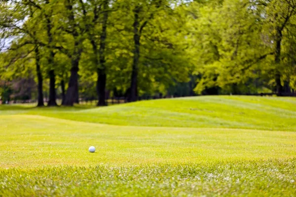 Golfbaan Met Bomen Rond Opmerking Ondiepe Scherptediepte — Stockfoto
