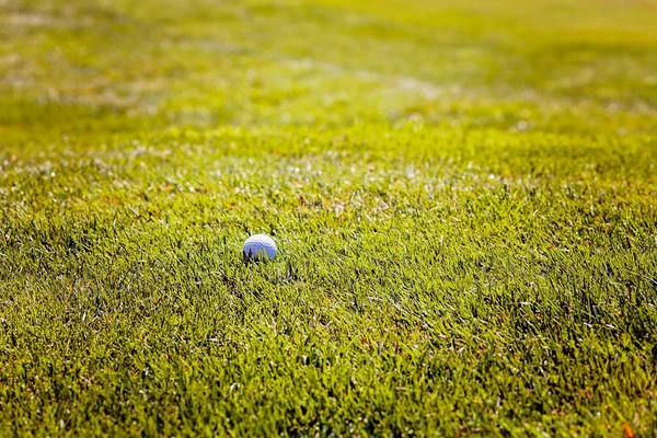 Campo Golfe Com Árvores Redor Observe Profundidade Rasa Campo — Fotografia de Stock