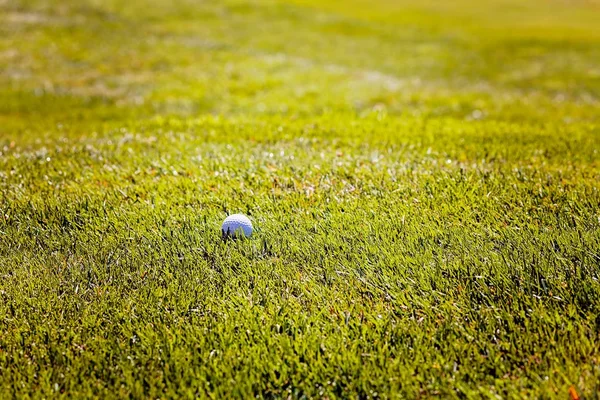 Golfové Hřiště Stromy Kolem Poznámka Mělké Hloubky Ostrosti — Stock fotografie