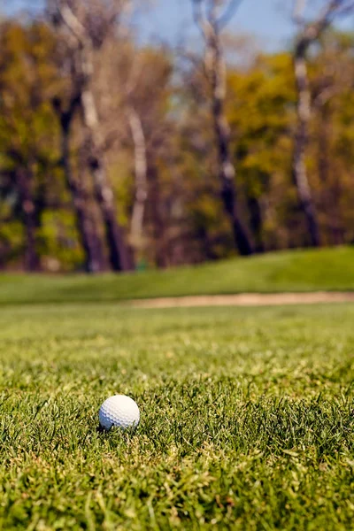 Golfbana Med Träd Runt Obs Kort Skärpedjup — Stockfoto