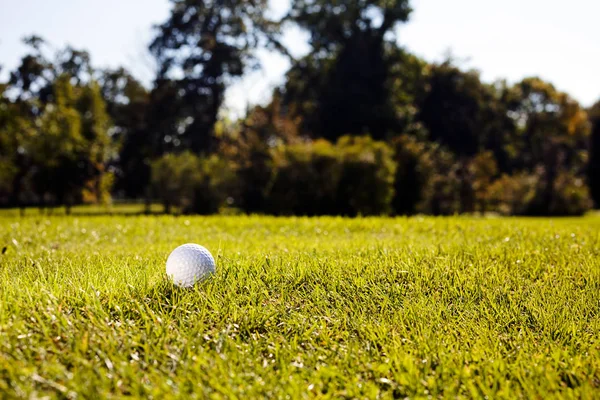Campo Golf Con Árboles Alrededor Nota Poca Profundidad Campo —  Fotos de Stock