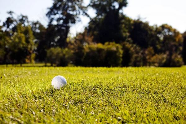 Campo Golfe Com Árvores Redor Observe Profundidade Rasa Campo — Fotografia de Stock