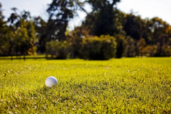 Campo Golf Con Árboles Alrededor Nota Poca Profundidad Campo —  Fotos de Stock