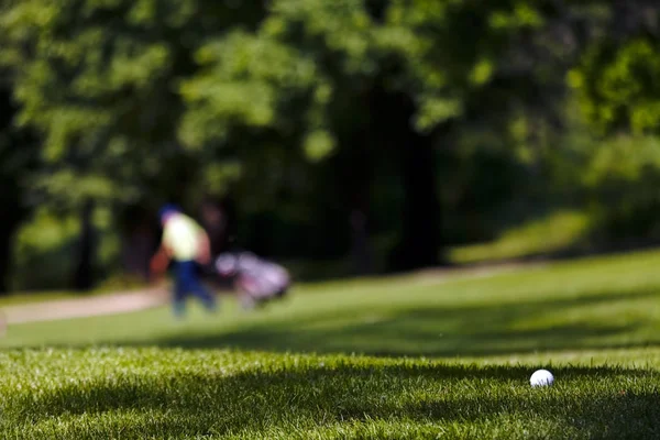 Ağaçları Saran Alan Sığ Derinliği Ile Golf Sahası — Stok fotoğraf