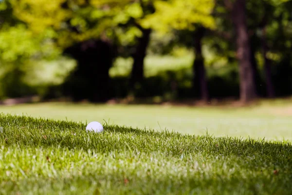 Campo Golf Con Árboles Alrededor Nota Poca Profundidad Campo — Foto de Stock