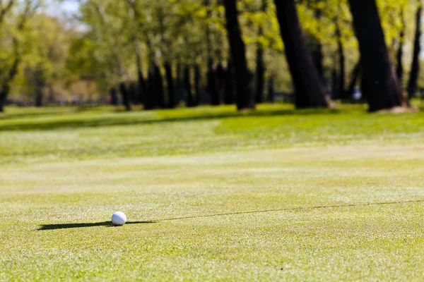 Campo Golfe Com Árvores Redor Observe Profundidade Rasa Campo — Fotografia de Stock