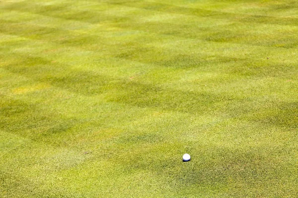 Golf Course Trees Note Shallow Depth Field — Stock Photo, Image