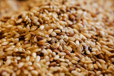 Kahverengi pirinç masaya döküldü.