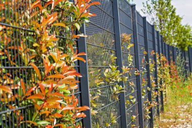 Arkasında çit olan metal çitler, yüzeysel alan derinliğine dikkat edin.