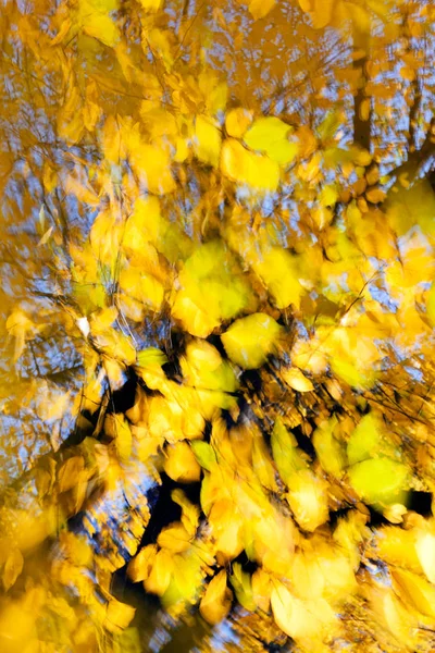 Abstrakte Herbsthintergründe Für Verschwommenen Hintergrund — Stockfoto