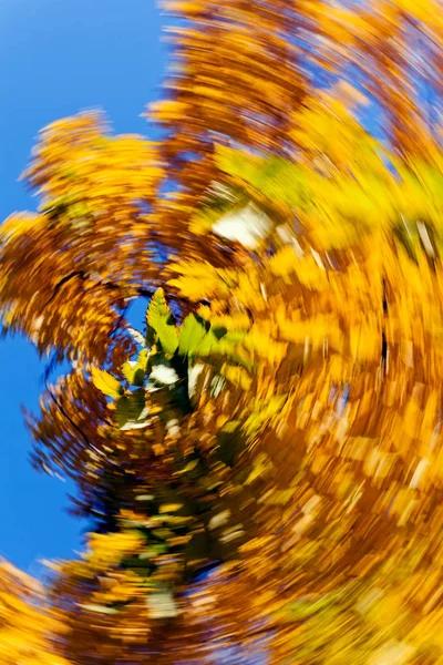 Abstração Com Folhas Outono Redemoinho Para Fundo Embaçado — Fotografia de Stock