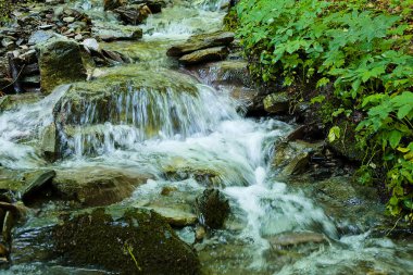 stone under the mountain water, note shallow depth of field