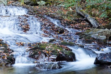 stone under the mountain water, note shallow depth of field