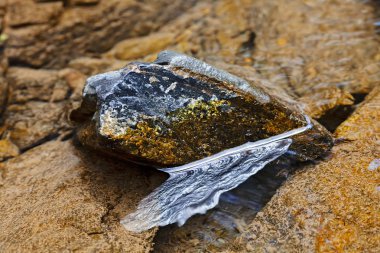 stone under the mountain water, note shallow depth of field