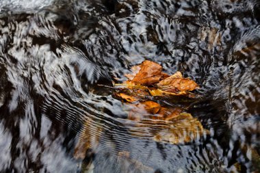 stone under the mountain water, note shallow depth of field