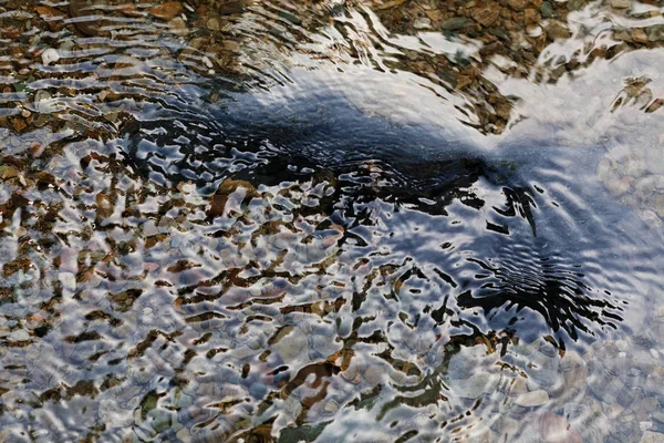 Stone Mountain Water Note Shallow Depth Field — Stock Photo, Image