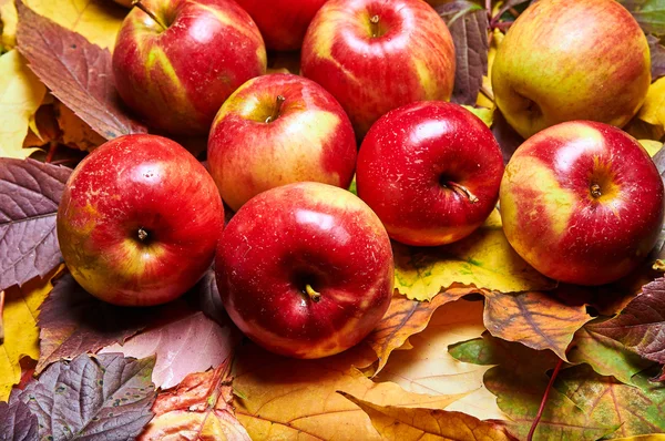 Dary natury. Jabłka i opadłych liści na starym drewnianym stole. Natura w październiku i listopadzie. — Zdjęcie stockowe