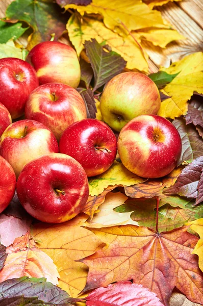 Cadeaux de la nature. Pommes et feuilles tombées sur une vieille table en bois. Nature en octobre et novembre . — Photo