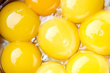 Birçok yumurta sarısı yakın çekim. Yoğun ve parlak sarı renk. Sahanda yumurta, omlet, haşlanmış yumurta hazırlanması için Ana madde. Taze çevre dostu tarım ürünleri.