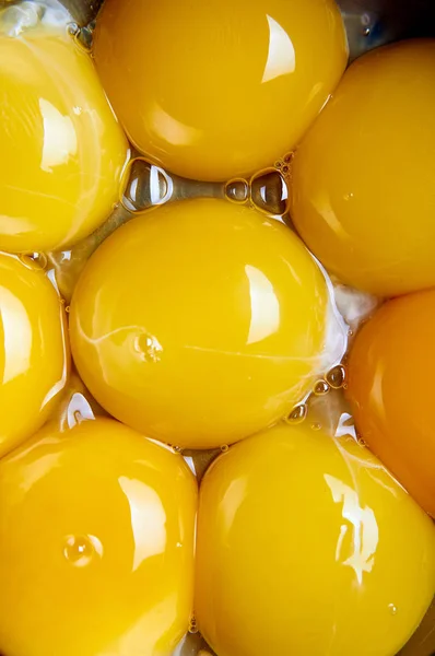 Many egg yolks close-up. Intense and bright yellow color. The main ingredient for the preparation of fried eggs, omelette, poached eggs. Fresh eco-friendly farm products. — Stock Photo, Image