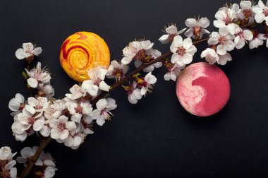 İki olağandışı güzel macaron \ acıbadem kurabiyesi ve çiçekli ağaç dal. Mat siyah arka plan. Tatlı tatlı minimalizm tarzı. Çiçekli kiraz, sakura, elma, Erik.
