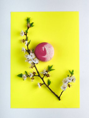 Kiraz çiçekleri ve bir Fransız tatlı sarı parlak ve şık arka plan üzerinde dalı. Zarif tatlı badem unu macaron \ acıbadem kurabiyesi. Güzel pembe bisküvi.