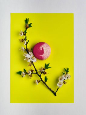 Kiraz çiçekleri ve bir Fransız tatlı sarı parlak ve şık arka plan üzerinde dalı. Zarif tatlı badem unu macaron \ acıbadem kurabiyesi. Güzel pembe bisküvi.