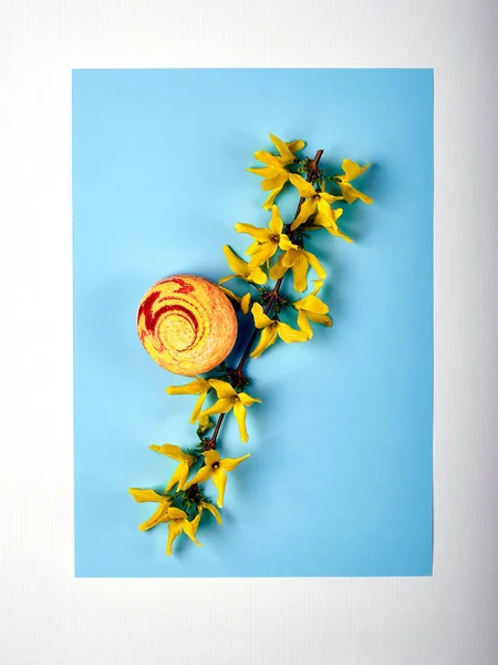 Una rama de flores de primavera amarillo y un delicioso postre francés macaron \ macarrón. Forsythia es un hermoso arbusto que florece en la primavera. Alimentos y la planta sobre un fondo azul moda. — Foto de Stock