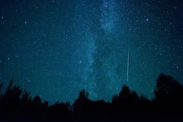 Uma vista das estrelas da Via Láctea com um pinheiro em primeiro plano. Chuveiro de meteoros Perseid em 2016 . — Fotografia de Stock